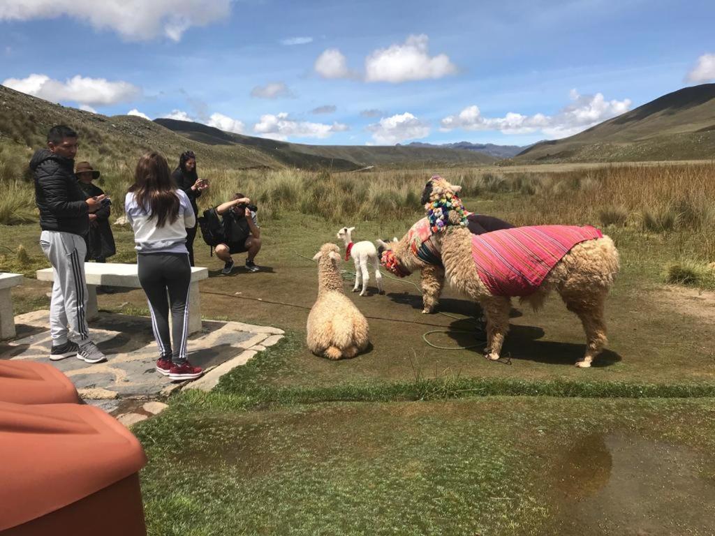 Bed and Breakfast Amazing Huaraz Exteriér fotografie