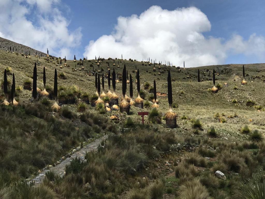 Bed and Breakfast Amazing Huaraz Exteriér fotografie