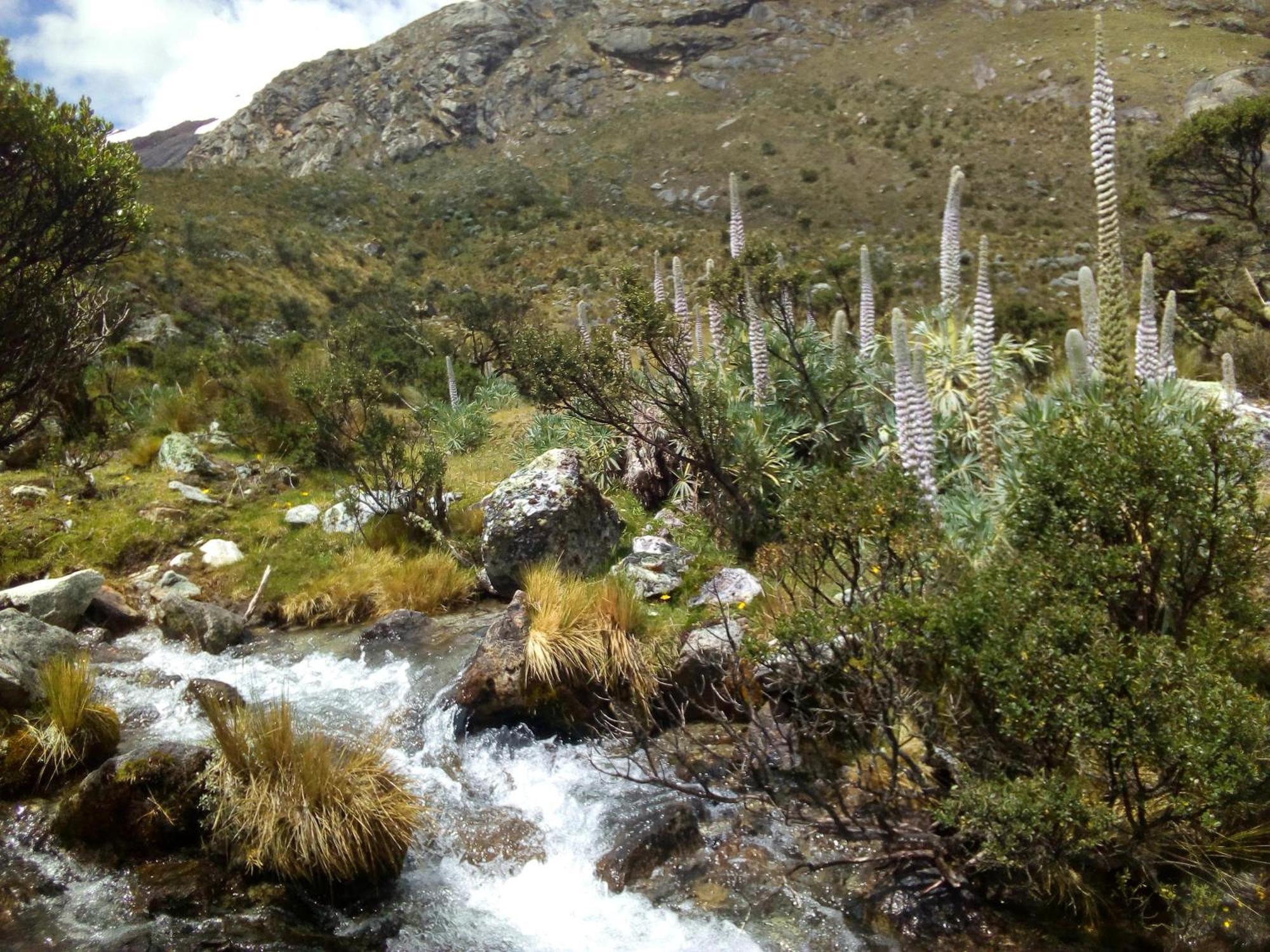 Bed and Breakfast Amazing Huaraz Exteriér fotografie