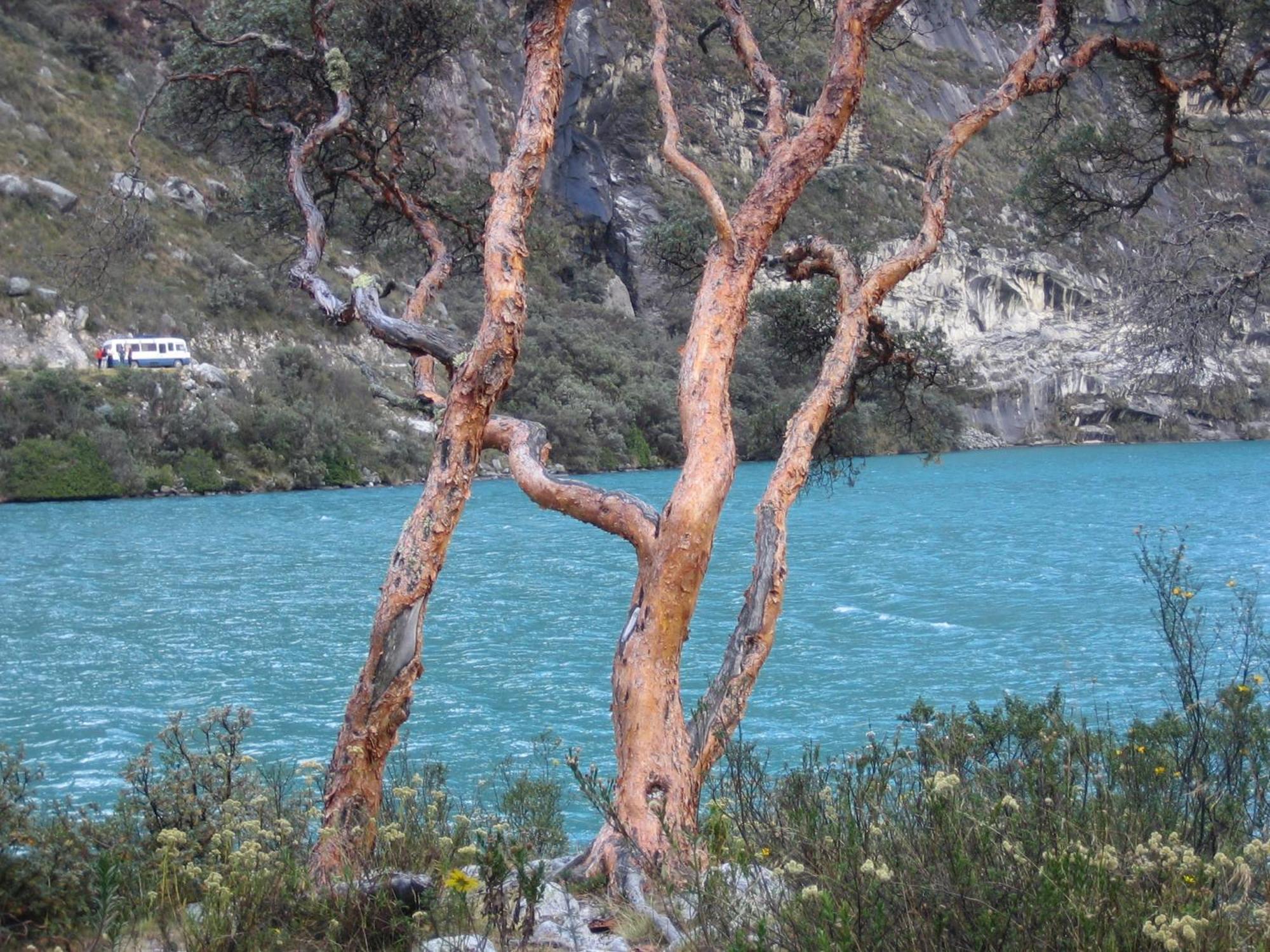 Bed and Breakfast Amazing Huaraz Exteriér fotografie